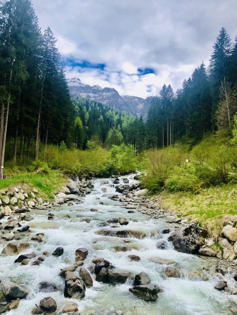 screenshot screenshot