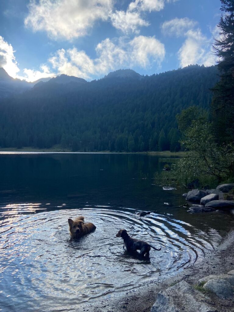 Home aa4805c1 2eac 420a b774 9129ceaf3601